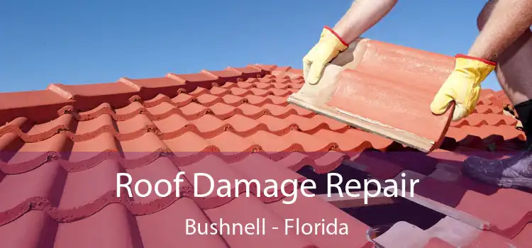 Roof Damage Repair Bushnell - Florida