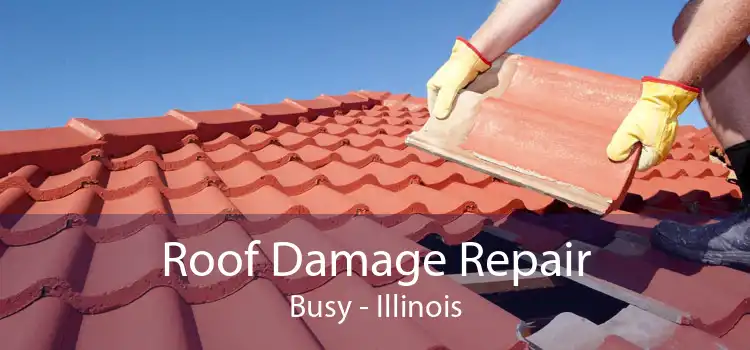 Roof Damage Repair Busy - Illinois