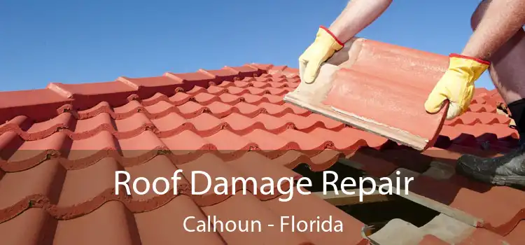 Roof Damage Repair Calhoun - Florida