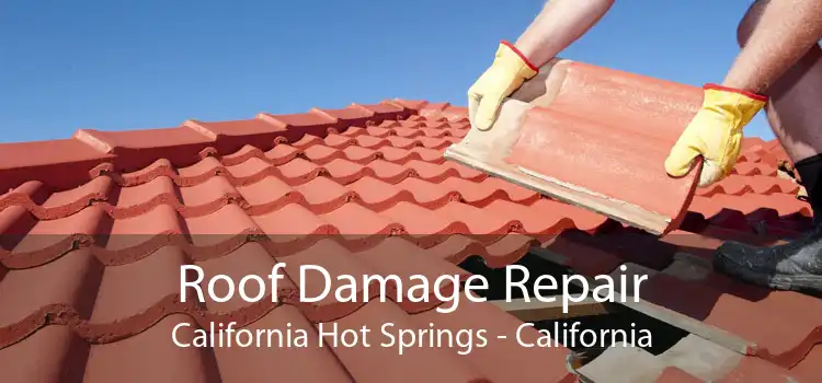 Roof Damage Repair California Hot Springs - California