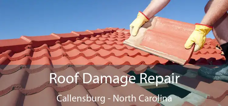 Roof Damage Repair Callensburg - North Carolina