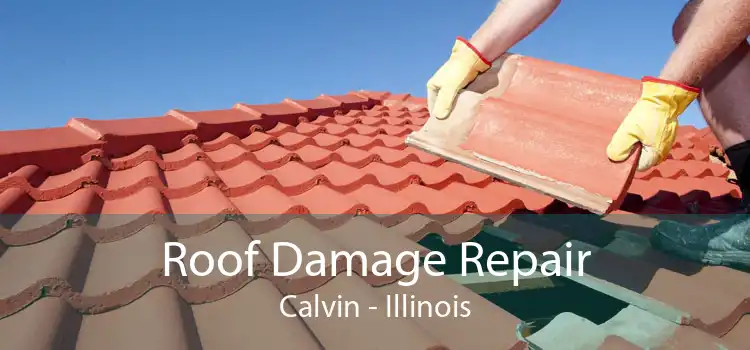 Roof Damage Repair Calvin - Illinois