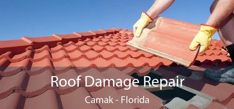 Roof Damage Repair Camak - Florida