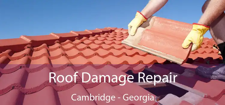 Roof Damage Repair Cambridge - Georgia