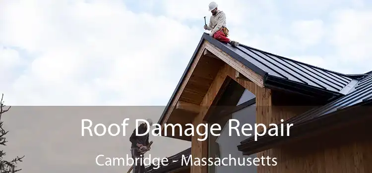 Roof Damage Repair Cambridge - Massachusetts