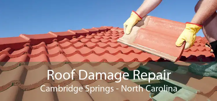 Roof Damage Repair Cambridge Springs - North Carolina