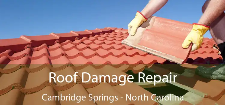 Roof Damage Repair Cambridge Springs - North Carolina