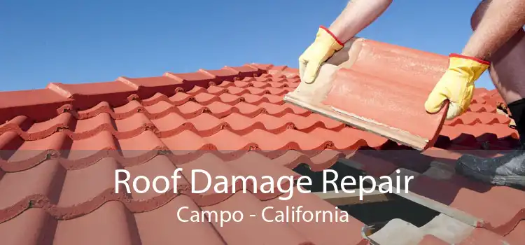Roof Damage Repair Campo - California