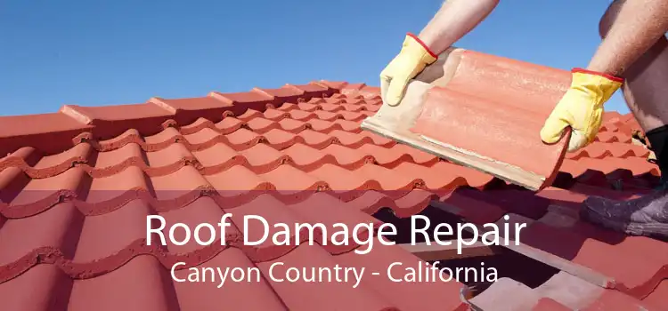 Roof Damage Repair Canyon Country - California