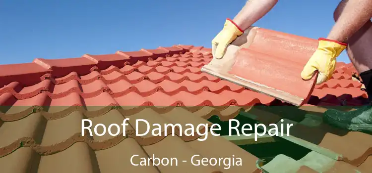 Roof Damage Repair Carbon - Georgia