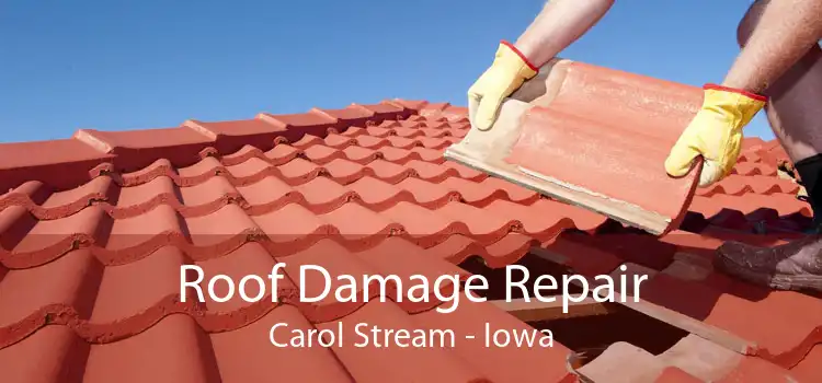 Roof Damage Repair Carol Stream - Iowa