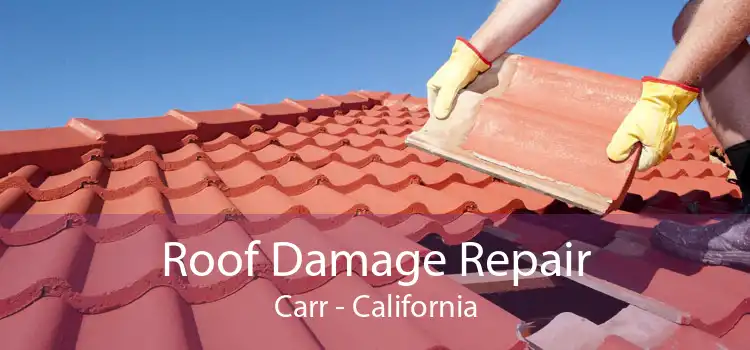Roof Damage Repair Carr - California
