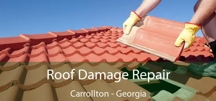 Roof Damage Repair Carrollton - Georgia