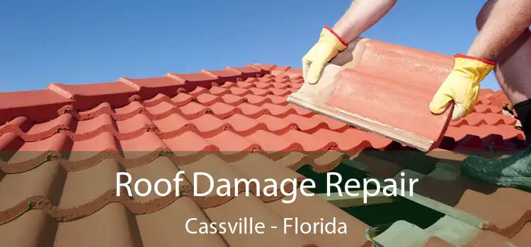 Roof Damage Repair Cassville - Florida