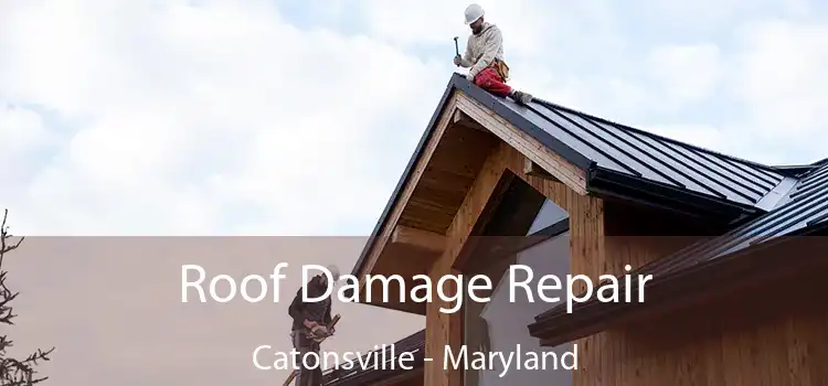 Roof Damage Repair Catonsville - Maryland