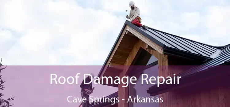 Roof Damage Repair Cave Springs - Arkansas