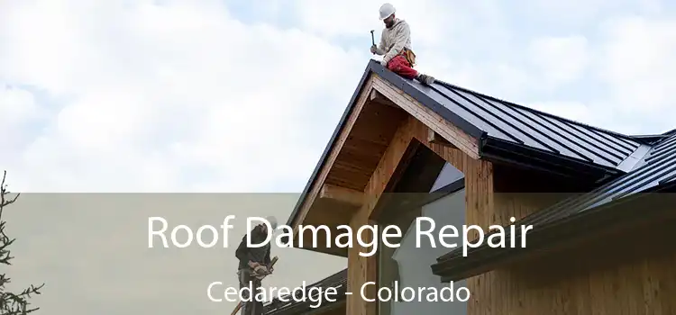 Roof Damage Repair Cedaredge - Colorado