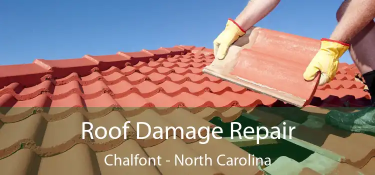 Roof Damage Repair Chalfont - North Carolina