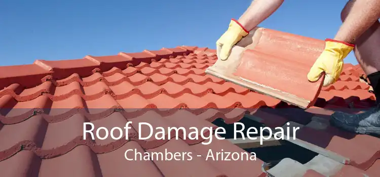 Roof Damage Repair Chambers - Arizona