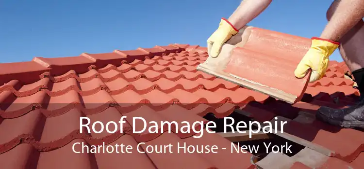 Roof Damage Repair Charlotte Court House - New York