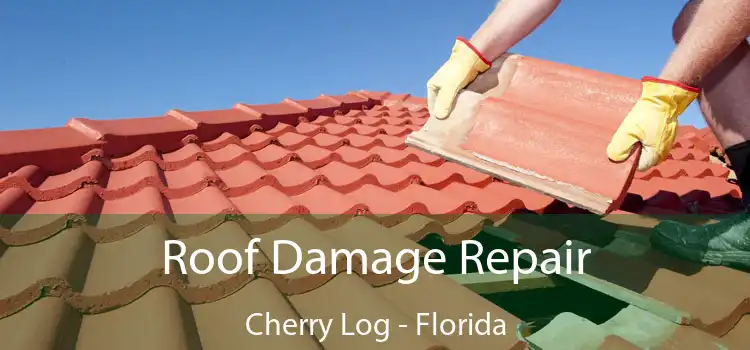 Roof Damage Repair Cherry Log - Florida