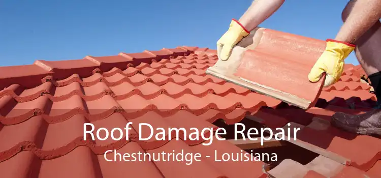 Roof Damage Repair Chestnutridge - Louisiana