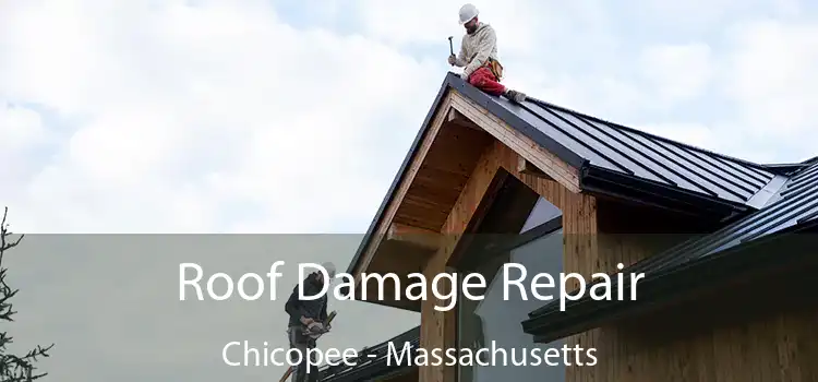 Roof Damage Repair Chicopee - Massachusetts