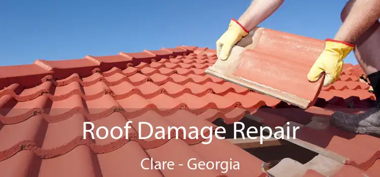 Roof Damage Repair Clare - Georgia