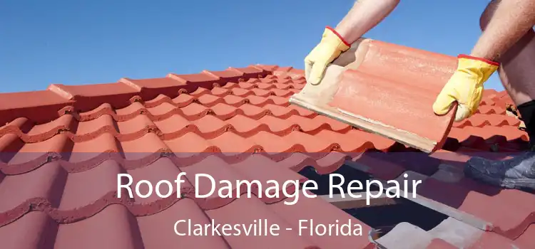 Roof Damage Repair Clarkesville - Florida