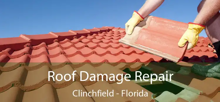 Roof Damage Repair Clinchfield - Florida