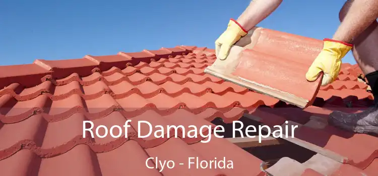 Roof Damage Repair Clyo - Florida