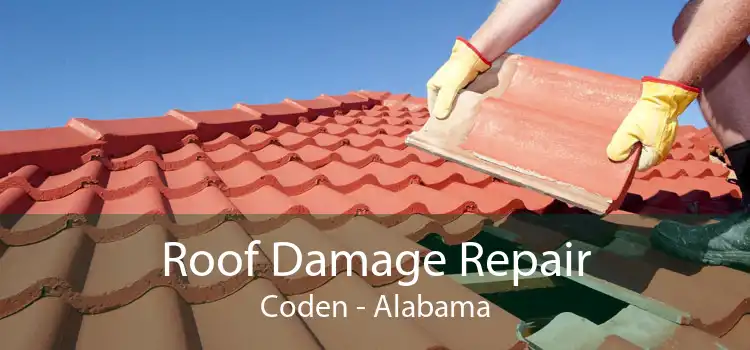 Roof Damage Repair Coden - Alabama