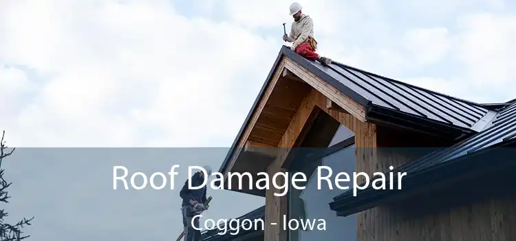 Roof Damage Repair Coggon - Iowa