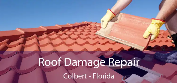 Roof Damage Repair Colbert - Florida