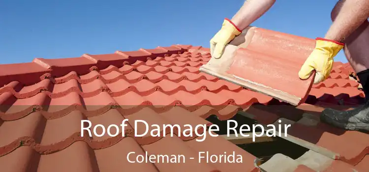 Roof Damage Repair Coleman - Florida