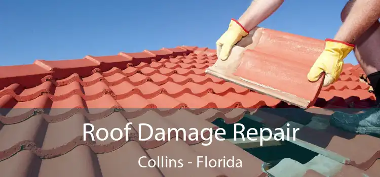 Roof Damage Repair Collins - Florida