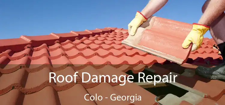 Roof Damage Repair Colo - Georgia