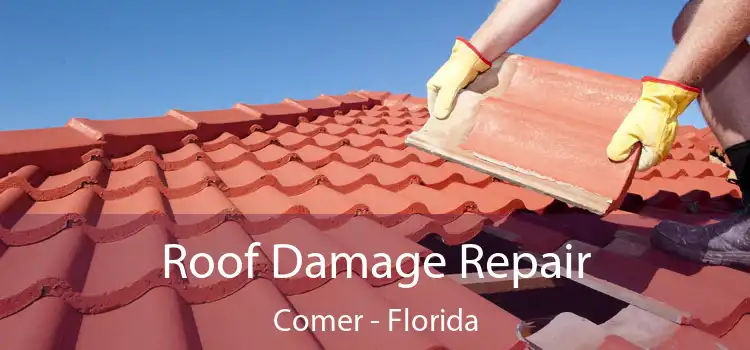 Roof Damage Repair Comer - Florida