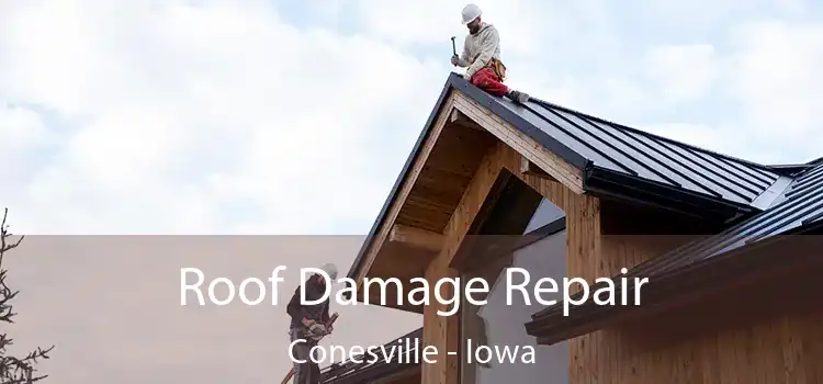 Roof Damage Repair Conesville - Iowa