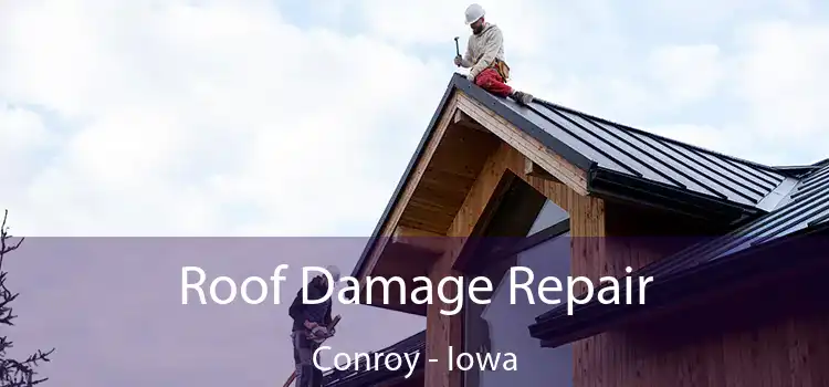 Roof Damage Repair Conroy - Iowa