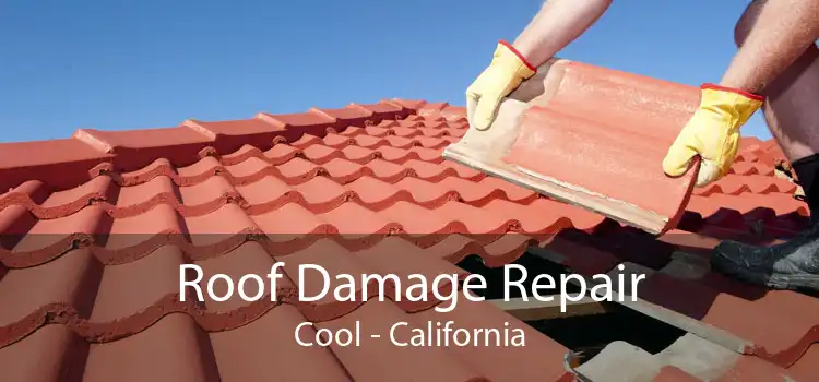 Roof Damage Repair Cool - California