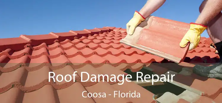 Roof Damage Repair Coosa - Florida