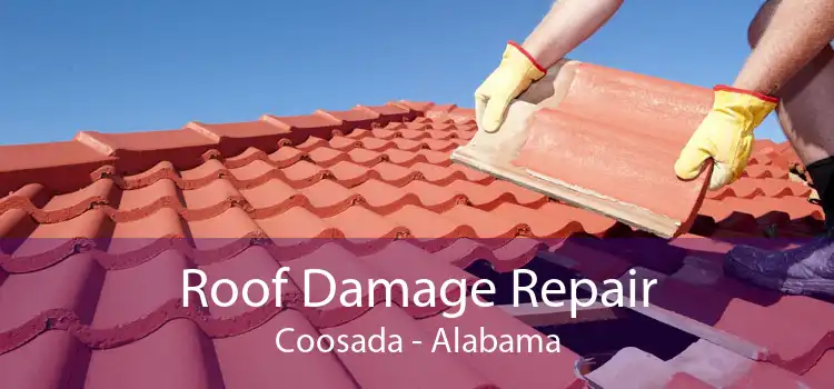 Roof Damage Repair Coosada - Alabama