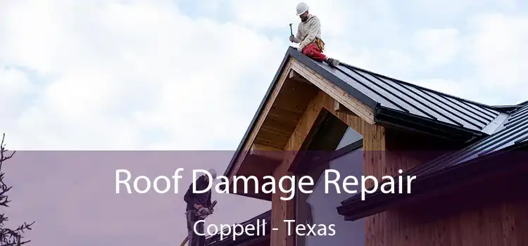 Roof Damage Repair Coppell - Texas