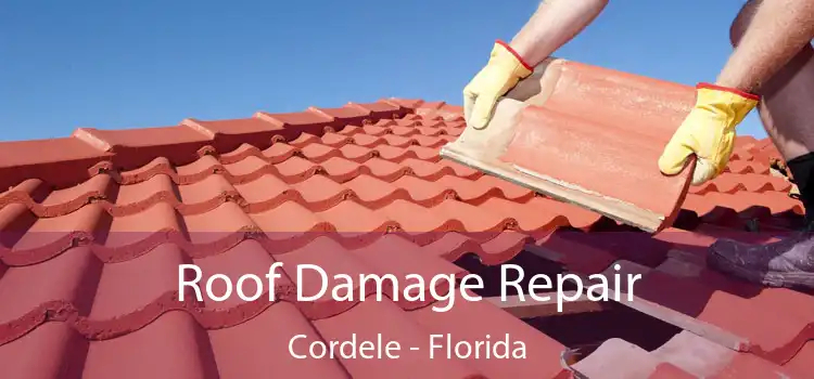 Roof Damage Repair Cordele - Florida