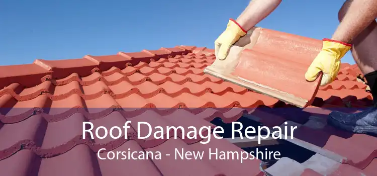 Roof Damage Repair Corsicana - New Hampshire