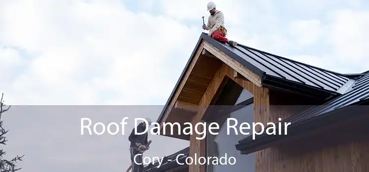 Roof Damage Repair Cory - Colorado