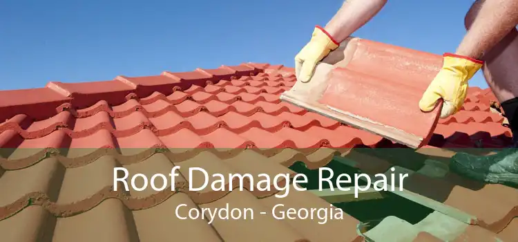 Roof Damage Repair Corydon - Georgia