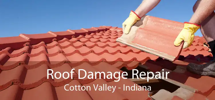 Roof Damage Repair Cotton Valley - Indiana