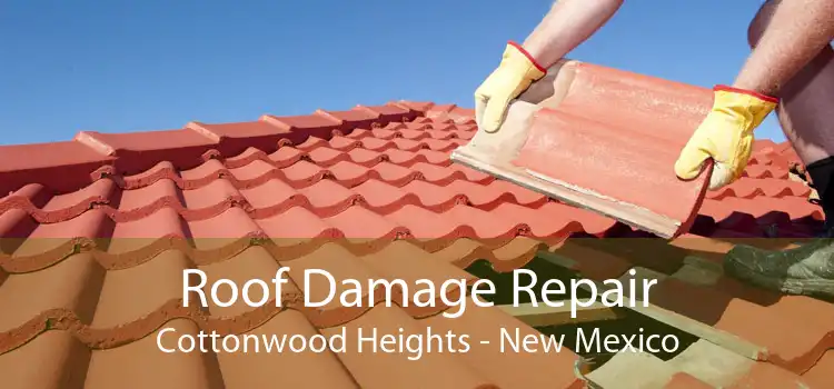 Roof Damage Repair Cottonwood Heights - New Mexico